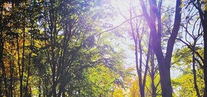 Последняя неделя октября в одесском Instagram