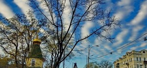 Одесситы могли наблюдать необычное природное явление