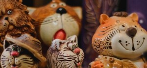 В кабинете одесской школы образовался музей кошек