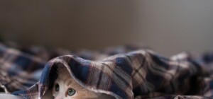 Получи ответ: как сделать перерасчет, если в квартире холодно