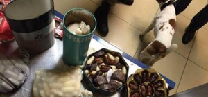 Кокаиновые конфеты: в Одессе накрыли поставку наркотиков  из ОАЭ на 3 млн долларов