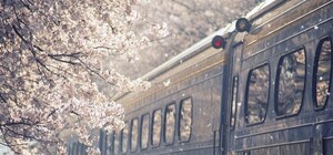 Путешествуй на Пасху: 