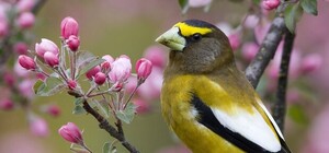 Якою буде погода у Львові на вихідні