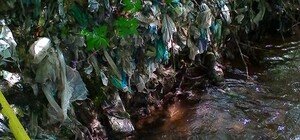 Запорожцы заваливают мусором берега Сухой Московки