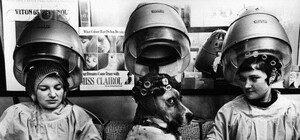 Бесплатная красота: где в Харькове можно бесплатно сделать стрижку, маникюр и макияж