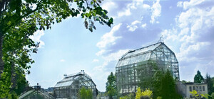 На вихідних львівський ботанічний сад влаштовує День відкритих дверей