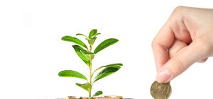 В 2015 году чистая зарплата украинцев уменьшилась на 20%