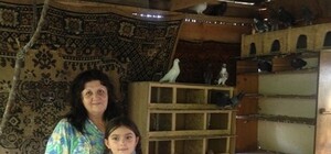 200 собак, 80 котов и шесть детей: дом семейного типа Мартыновой  ликвидировали