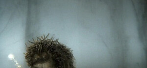 Чтоб не замерз: столичного Ежика в тумане одели в теплые носочки