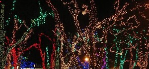 Одесса преобразится: центр города украсят новой иллюминацией