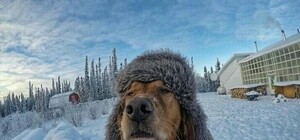 Мерзнуть не придется: синоптики рассказали о погоде на завтра