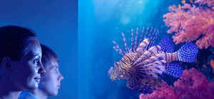 Океанариум, пингвины и долина тигров: что будет нового в харьковском зоопарке