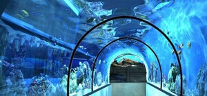 Царство Посейдона: в харьковском зоопарке появится океанариум