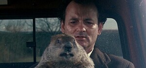 Узнай, почему: в Харьковском зоопарке выступили против Дня Сурка