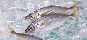 И снова черви в Сильпо: одесситка купила селедку с сюрпризом