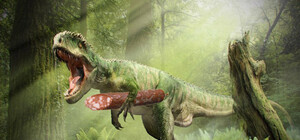 Годы выдержки: в одесском 