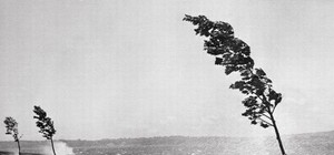 Чтоб не сдуло: синоптики прогнозируют сильный ветер