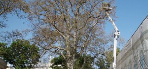 Новые игрушки: одесские коммунальщики похвастались новой спецтехникой