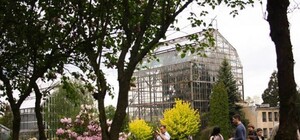 Послухати DJ сети та повалятися на соломі: Ботанічний сад запрошує на вечірку