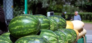 Безпечні місця: де у Львові легально продаватимуть кавуни