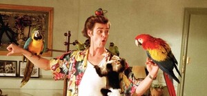 На страже порядка: в Днепре появились зоотедективы