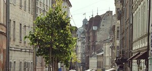 Навіть киці подобається: львів’яни власноруч озеленили вулицю Лесі Українки