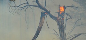 Пожар на полигоне под Днепром: спасатели ликвидировали последний очаг