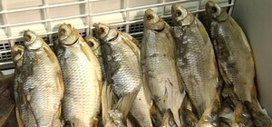 Снова вяленая рыба: в Харькове парень попал в больницу с подозрением на ботулизм