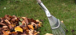 На контроле: ЖЭКи обяжут отчитываться перед жильцами