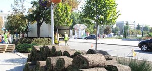 Раскатали и готово: на бульваре Шевченка стелют рулонные газоны