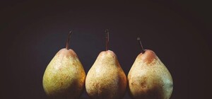 Что есть, чтобы умнеть: на фестивале 