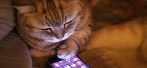 Приятный бонус: абоненты 