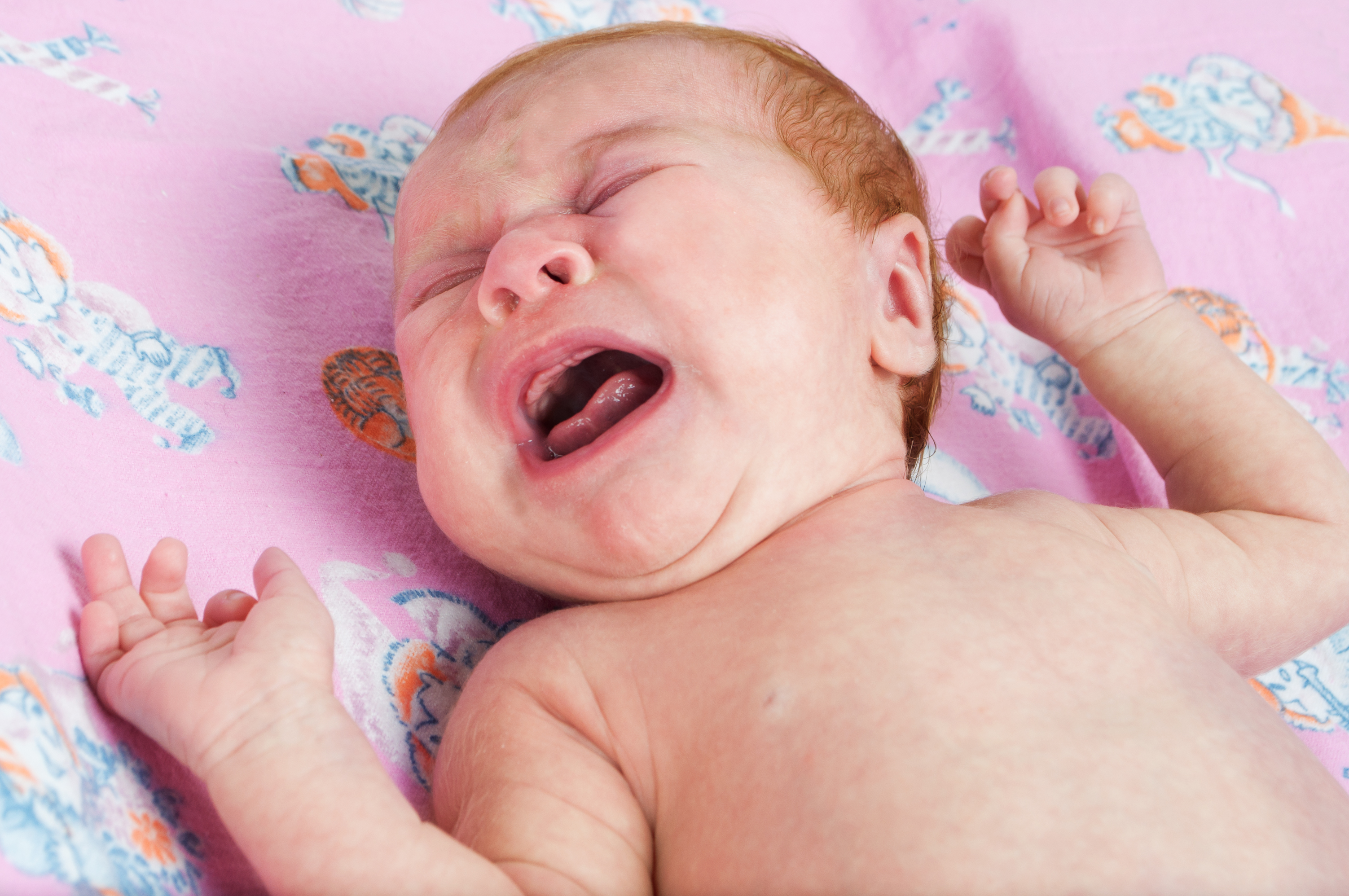 Новорожденный сильно плачет. Ребенок плачет. Кандидоз у новорожденных.