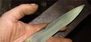 Відео: у Львові п'яна жінка з товаришами зарізали трьох перехожих