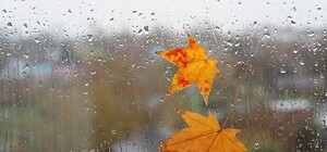 Діставай теплий одяг: якою буде погода у Львові на цьому тижні