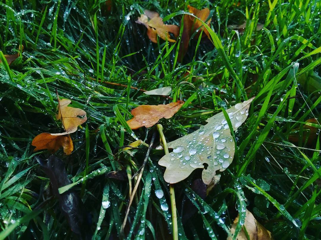 Новость - События - Подсмотренно в Instagram: яркие снимки Запорожья этой осенью