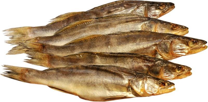 Новость - События - В Запорожье зафиксировали ботулизм: двое человек госпитализированы