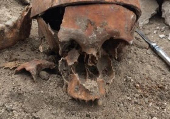 Новость - События - Неожиданная находка: в центре Запорожья откопали скелет человека