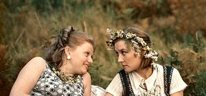 Будь в курсе: в Крыму продлили сроки 