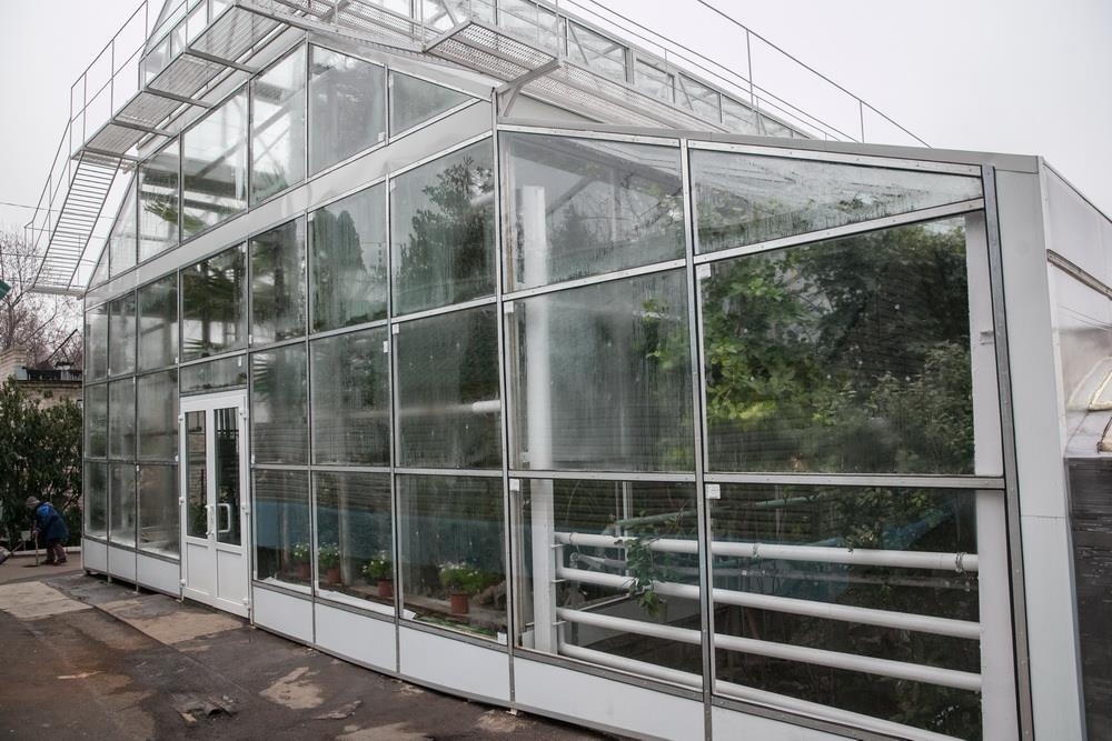 Новость - События - Теплица за 1,5 миллиона: в ботаническом саду завершили долгую реконструкцию