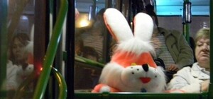 Цифра дня: сколько 