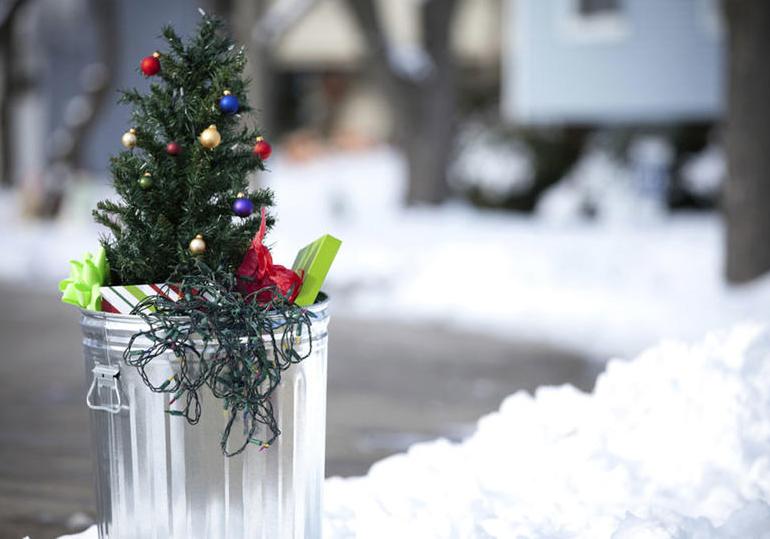 Новость - Досуг и еда - Праздники закончились: в Запорожской области нашли необычный способ избавляться от новогодних елок