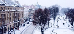 Засніжило: як Львів бореться зі снігом
