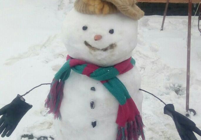 Новость - Досуг и еда - Репортаж из соцсетей: запорожцы устроили парад снеговиков