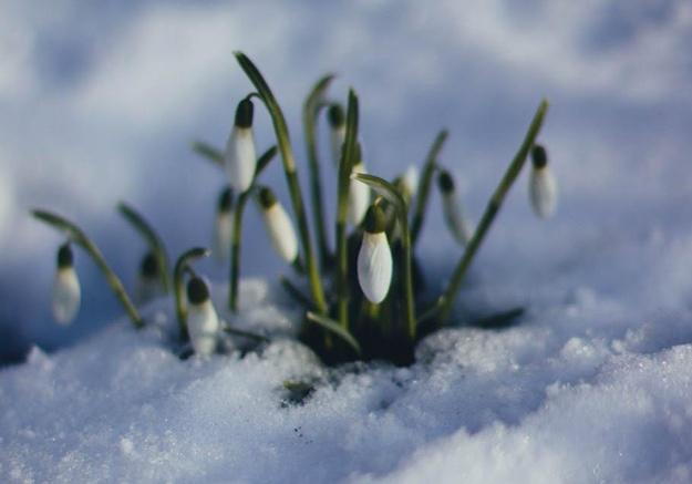 Новость - События - Снег продолжит таять: погода в Запорожье на 9 марта