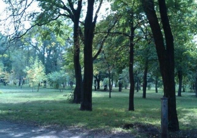 Новость - Досуг и еда - В Днепровском районе дали название парку