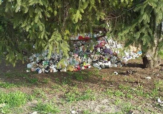 Новость - События - "Загажен до неузнаваемости": на Шевченковском парк завален мусором