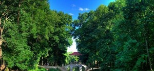 Цифра дня: сколько денег выделили на реконструкцию Полтавского дендропарка