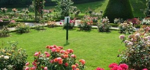 Что за люди: возле 