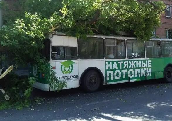 Новость - События - ДТП на бульваре Шевченко: на троллейбус упало дерево